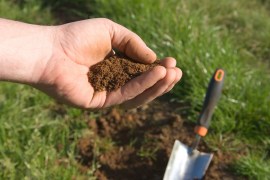 Top 5 Insights from Soil Science to Help You Choose the Best Soil Mix