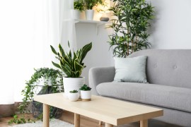 Incorporating Greenery: A Guide to Plants in Scandinavian Interior Design