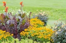 Effective Techniques for Identifying Common Garden Pests